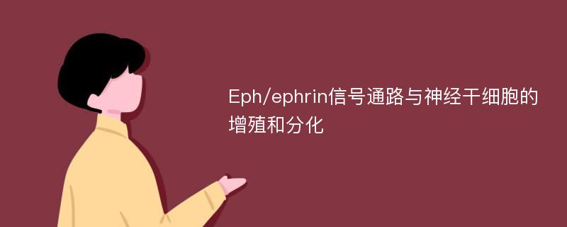 Eph/ephrin信号通路与神经干细胞的增殖和分化