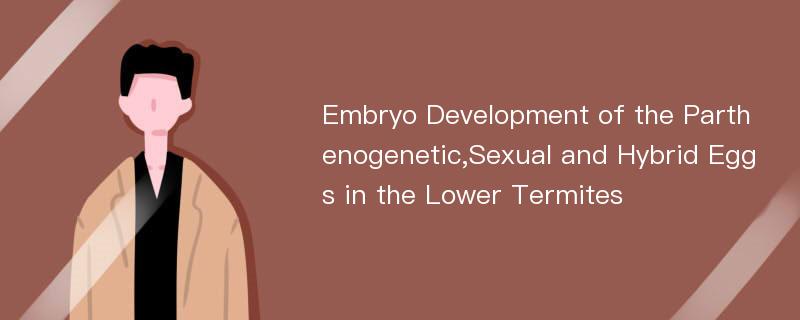 Embryo Development of the Parthenogenetic,Sexual and Hybrid Eggs in the Lower Termites