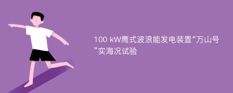 100 kW鹰式波浪能发电装置“万山号”实海况试验