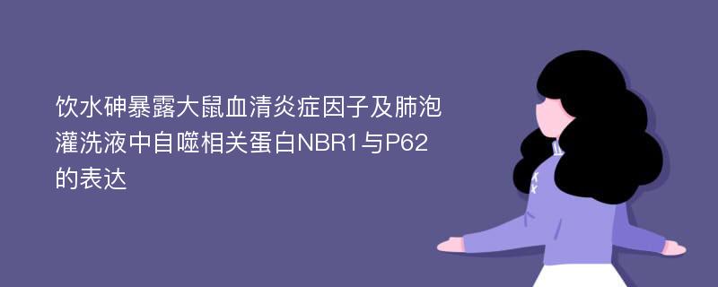 饮水砷暴露大鼠血清炎症因子及肺泡灌洗液中自噬相关蛋白NBR1与P62的表达