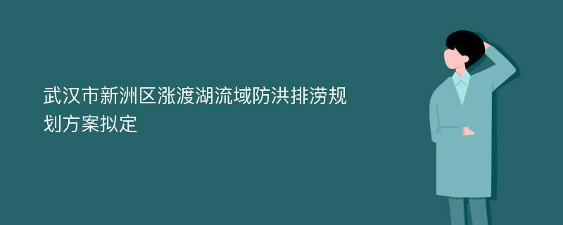 武汉市新洲区涨渡湖流域防洪排涝规划方案拟定