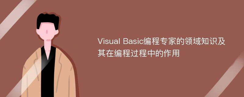 Visual Basic编程专家的领域知识及其在编程过程中的作用