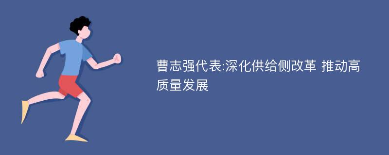 曹志强代表:深化供给侧改革 推动高质量发展