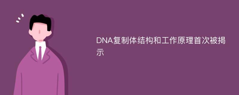 DNA复制体结构和工作原理首次被揭示