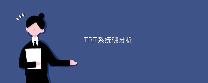 TRT系统砽分析