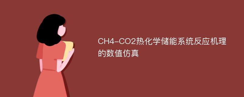 CH4-CO2热化学储能系统反应机理的数值仿真