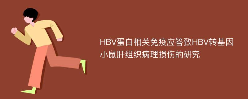 HBV蛋白相关免疫应答致HBV转基因小鼠肝组织病理损伤的研究