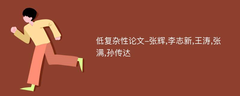 低复杂性论文-张辉,李志新,王涛,张满,孙传达