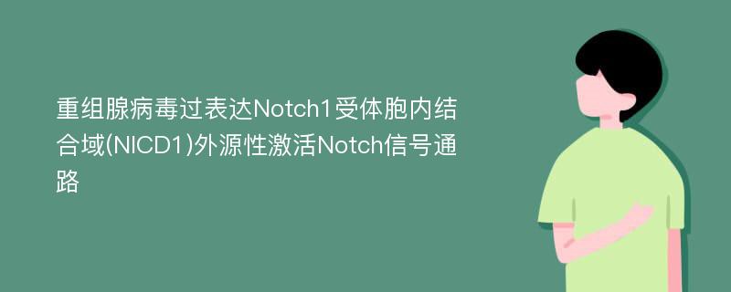 重组腺病毒过表达Notch1受体胞内结合域(NICD1)外源性激活Notch信号通路